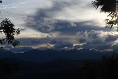 DSC_6798 (Large).JPG